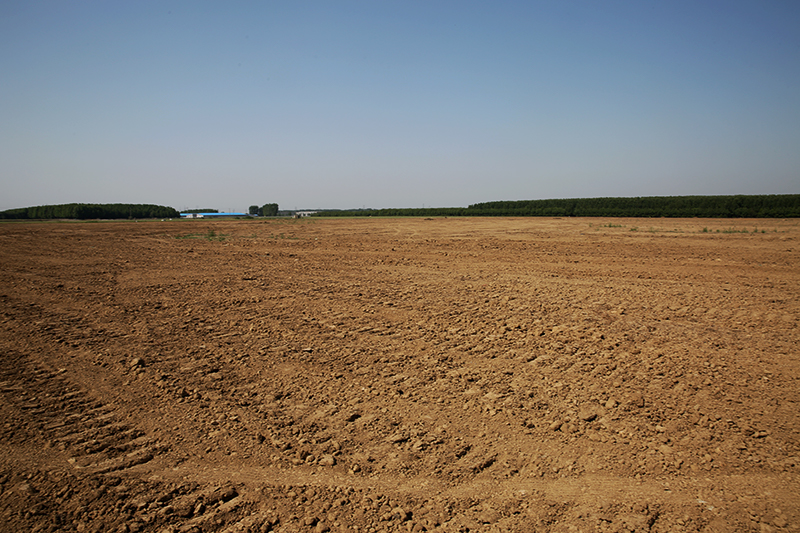 1653009333322247.jpg HW6A9942-800.jpg