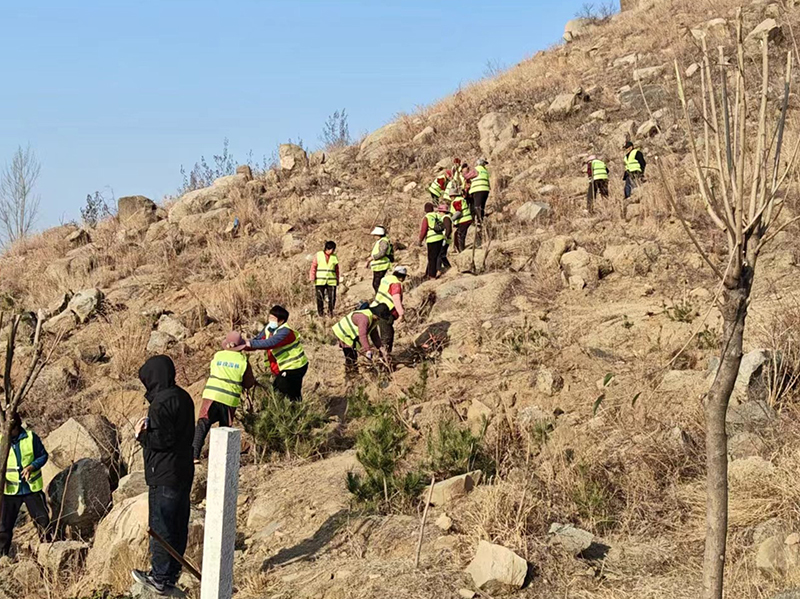 1710906001181875.jpg 3333333.jpg