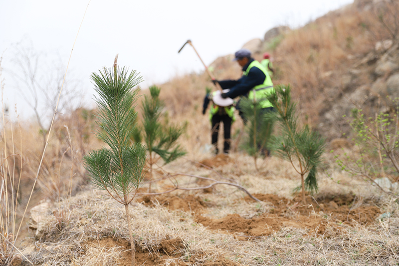 1712464383827494.jpg IMG_4759 拷贝.jpg