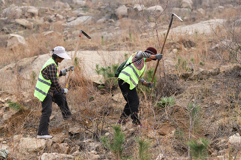 1712464625685199.jpg IMG_4766 拷贝.jpg